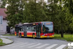Specjalne linie zapewnią dojazd na festiwal. Jedna zostanie skomunikowana z parkingiem MAPA