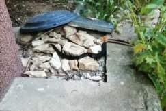 Nieproszony gość przed domem. Strażacy bezpiecznie odłowili jadowitego gada - foto