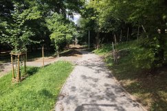 Remont zgodnie z planem? Mieszkaniec zaniepokojony tempem prac, Ratusz uspokaja - foto
