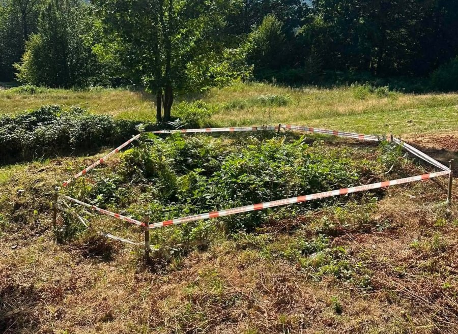 Śmiertelna pułapka bez jakiegokolwiek zabezpieczenia. „Udało się zapobiec potencjalnej tragedii” - foto