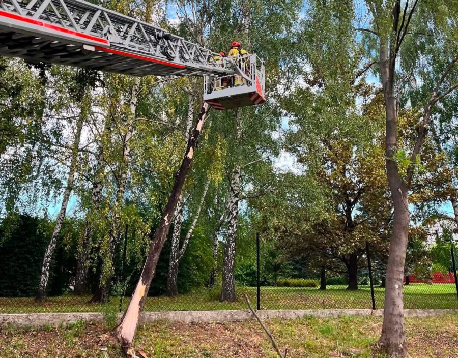 To była noc pełna interwencji. Silne porywy wiatru łamały gałęzie, a nawet drzewa - foto