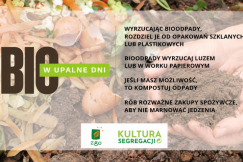 BIO w upalne dni. Jak wyrzucać bioodpady?