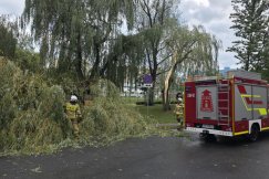 Połamane drzewa, bez prądu jest część Kamienicy. To nie koniec nieprzewidywalnej pogody - foto i film