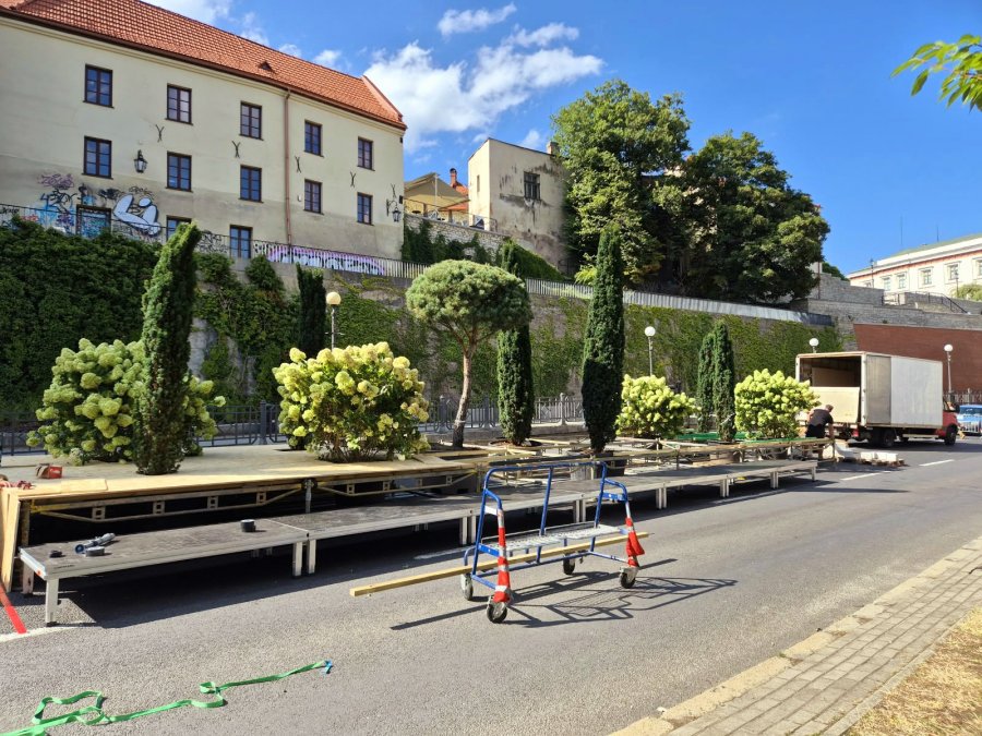 Zamkowa zamieni się w strefę sztuki i relaksu. Rośliny w donicach i instalacje artystyczne - foto