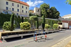 Zamkowa zamieni się w strefę sztuki i relaksu. Rośliny w donicach i instalacje artystyczne - foto