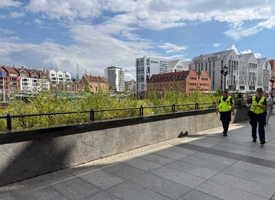 Wszędzie dobrze, gdzie nas nie ma? „Nie tylko w Bielsku-Białej rośnie trawa” - foto