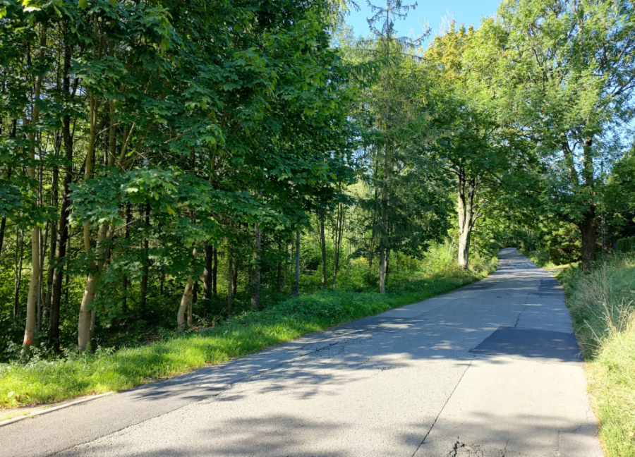 Blisko hektar w Kamienicy na sprzedaż. Miasto szuka kupca na atrakcyjny teren - foto