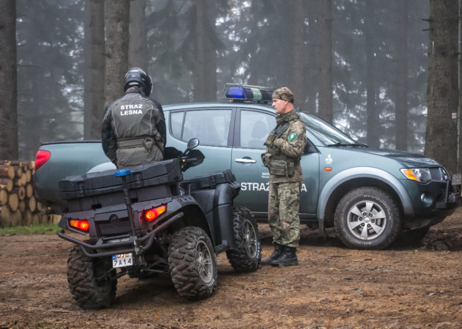 Więcej patroli i fotopułapek. Koniec pobłażania dla rozjeżdżania lasów i wywożenia drewna - foto