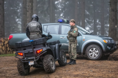 Więcej patroli i fotopułapek. Koniec pobłażania dla rozjeżdżania lasów i wywożenia drewna - foto