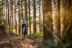 Hardtail czy Full Suspension? Co wybrać na pierwsze ścieżki trailowe