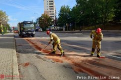 Potężna plama ciągnęła się przez kilka kilometrów. Zagrożenie zneutralizowało pięć zastępów - foto