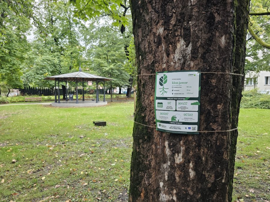 Tajemnicze etykiety pojawiły się na dwóch drzewach. Tłumaczą, ile robią dla nas każdego dnia - foto