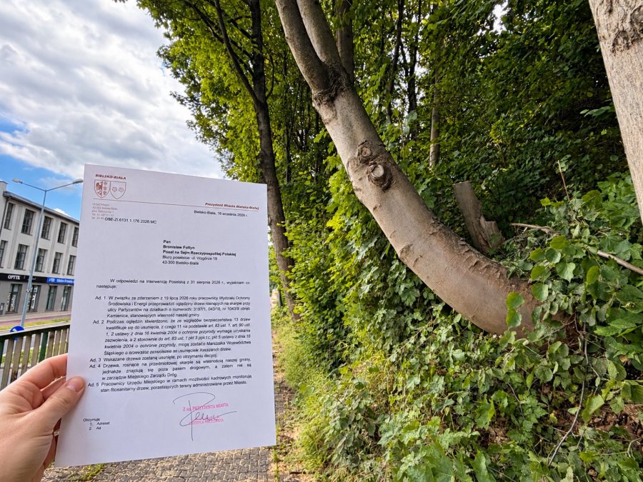 Będą wycinki na niebezpiecznej skarpie. Trzy miesiące temu prawie doszło tu do tragedii - foto