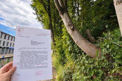 Będą wycinki na niebezpiecznej skarpie. Trzy miesiące temu prawie doszło tu do tragedii - foto