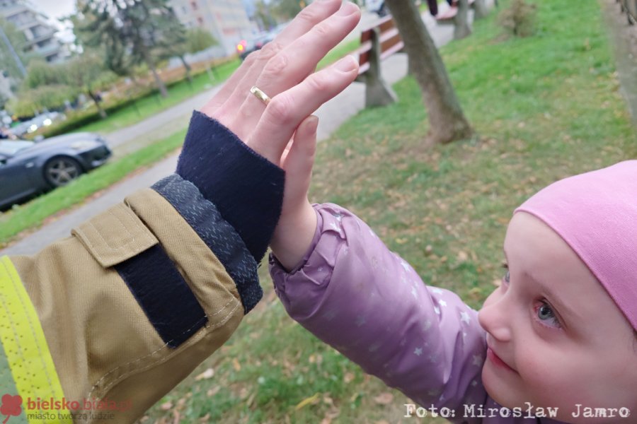 Kotek w korycie rzeki. Strażacy ruszyli na ratunek po wezwaniu od zmartwionej 5-latki - foto