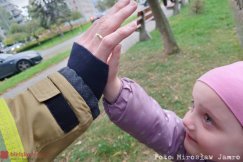Kotek w korycie rzeki. Strażacy ruszyli na ratunek po wezwaniu od zmartwionej 5-latki - foto