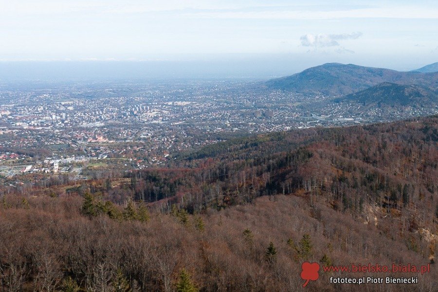 Planują trzebież w rejonie Szyndzielni. Całkowity zakaz wstępu przy popularnej trasie MAPA