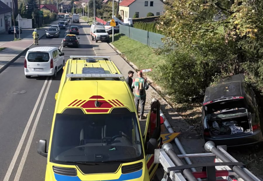 Kompletnie pijany wiózł 10-letnią wnuczkę. Auto wylądowało na słupie, Ukrainiec zatrzymany - foto