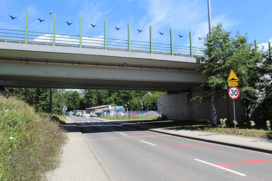 Metamorfoza pod wiaduktem obwodnicy. Położyli już specjalistyczny sznur, zasadą tu 1500 roślin - foto