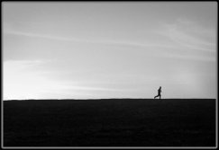la linea, Marcin Pytlowany