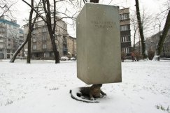 Salamandra plamista/park przy LO im. Stefana Żeromskiego