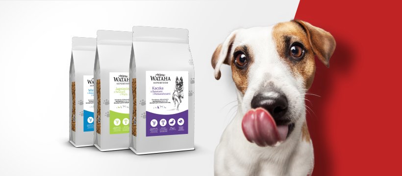 Dobra sucha karma dla psa - co powinna zawierać?