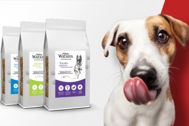 Dobra sucha karma dla psa - co powinna zawierać?