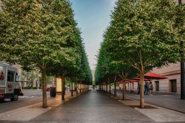 Drzewa w miastach są potrzebne. Jak kraty i osłony drzew pozwolą je chronić?