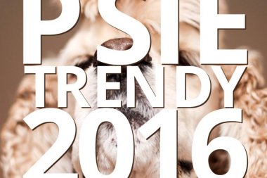 Jak ostrzyc psa, czyli psie trendy na 2016 rok