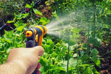 Opryskiwacze ręczne – niezastąpiona pomoc przy pracach ogrodniczych