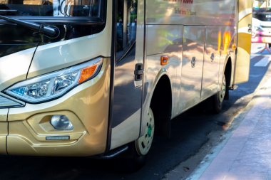 Jak wybrać właściwy bus do Niemiec?