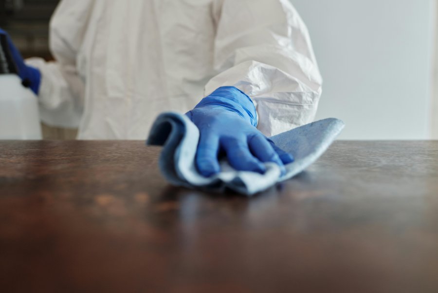 Skuteczne usługi DDD dla Twojego domu – odkryj profesjonalne metody eliminacji szkodników
