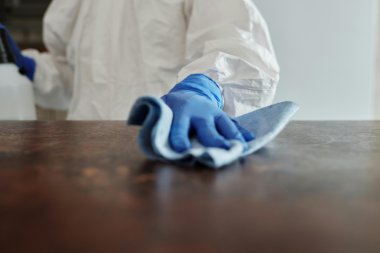 Skuteczne usługi DDD dla Twojego domu – odkryj profesjonalne metody eliminacji szkodników