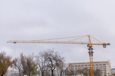 Poradnik: Jak wybrać odpowiedni dźwig w Katowicach?
