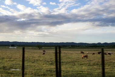 Jak dbać o pastuch elektryczny, aby działał skutecznie przez wiele sezonów?