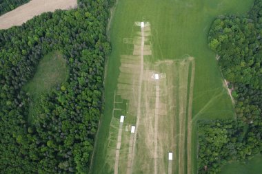 Od pola do stołu: jak Manufaktura Dobra tworzy uczciwą, zdrową żywność z pasją i szacunkiem do natury