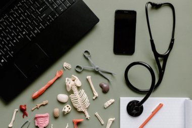 Jak się przygotować do matury, jeśli chcesz iść na medycynę?
