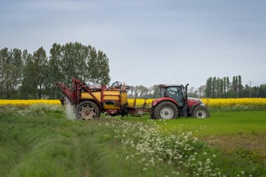 Dlaczego Twój oprysk na chwasty przestał działać? Skuteczna strategia na oporne chwasty