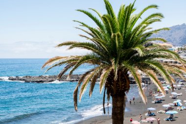 Marbella czy Malaga – gdzie szukać nieruchomości w Hiszpanii?