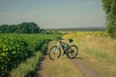 Aktywny wypoczynek na Śląsku - pomysły na spacery, rower i rodzinne wycieczki