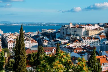 Portugalska przygoda na wyciągnięcie ręki – Twój poradnik po kraju słońca i oceanu