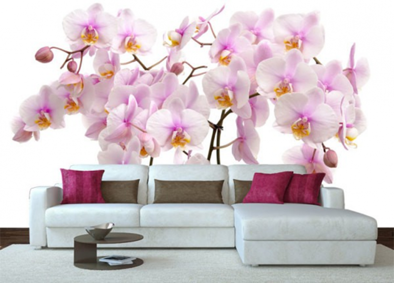 Fototapety orchidee