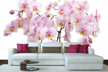 Fototapety orchidee