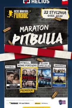 Maraton Pitbulla