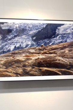 Galeria B&B wirtualnie