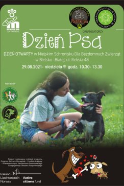 Dzień psa w schronisku