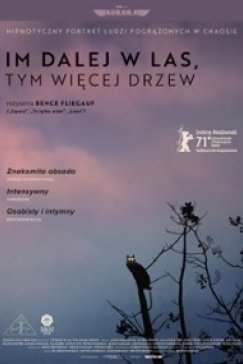 Węgierski dramat w DKF-ie