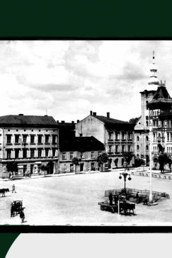 O kamienicy Pod Żabami, ewangelikach i Witkacym