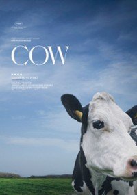 Smutne życie krowy Lumy, czyli rozważania o prawach zwierząt