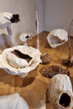 Gdy natura zamienia się w szkielet...